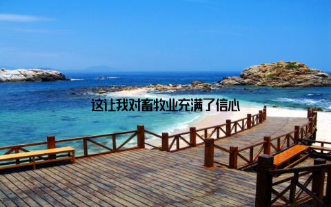 这让我对畜牧业充满了信心