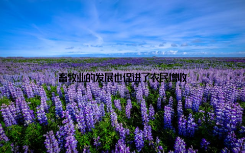 畜牧业的发展也促进了农民增收