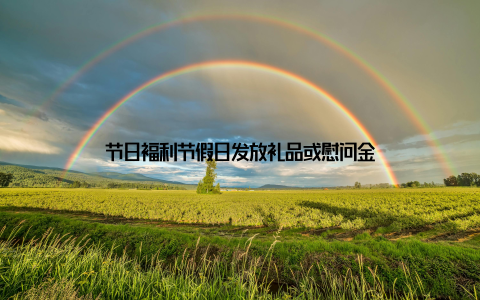 节日福利节假日发放礼品或慰问金