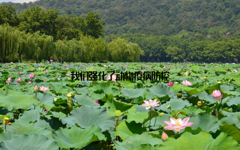 我们强化了动物疫病防控