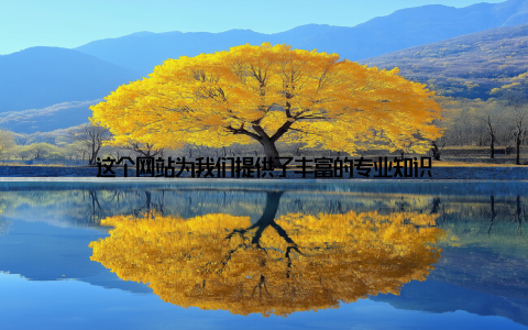 这个网站为我们提供了丰富的专业知识