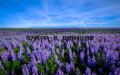 作为其中的一员, 我感到无比自豪