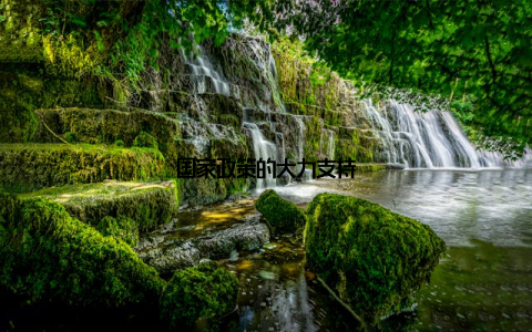 国家政策的大力支持