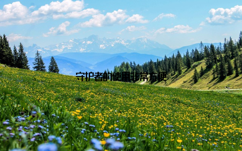 守护者的使用非常方便