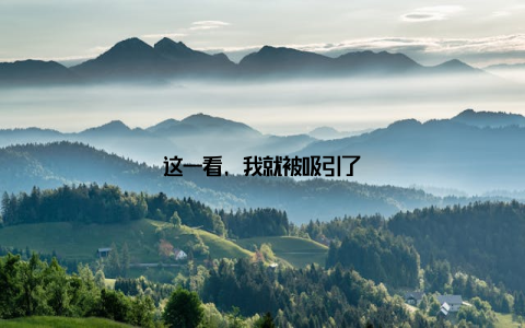 这一看, 我就被吸引了