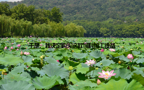 于是, 我决定购买这款饲料加工设备