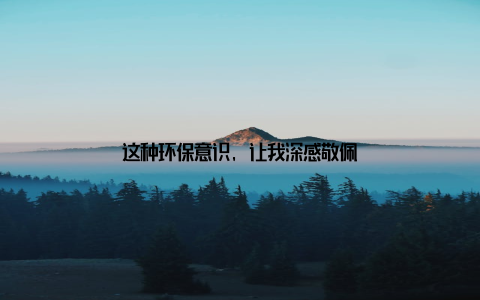 这种环保意识, 让我深感敬佩