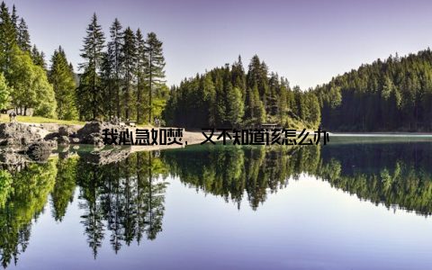 我心急如焚, 又不知道该怎么办