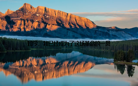 如今, 我已经成为了这场革命的一员