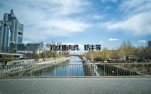 如优质肉鸡、奶牛等