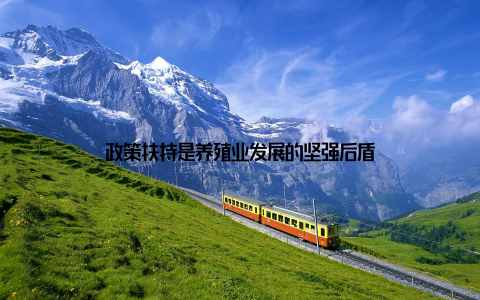 政策扶持是养殖业发展的坚强后盾