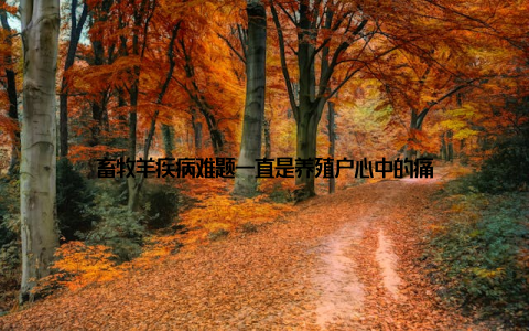 畜牧羊疾病难题一直是养殖户心中的痛