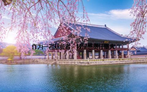 作为一名从业者, 我深感责任重大