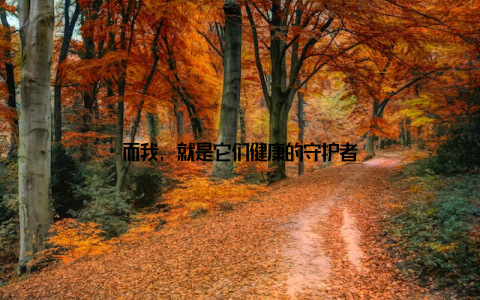 而我, 就是它们健康的守护者