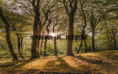 作为其中的一员, 我深感自豪