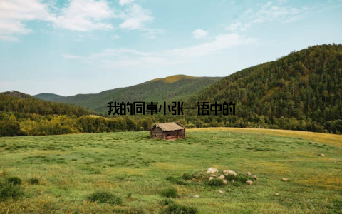 我的同事小张一语中的