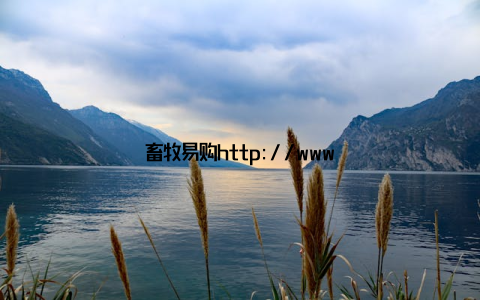 畜牧易购http://www