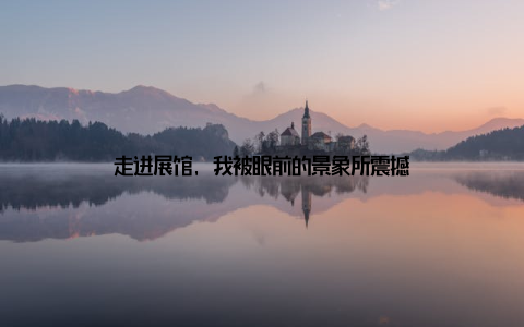 走进展馆, 我被眼前的景象所震撼