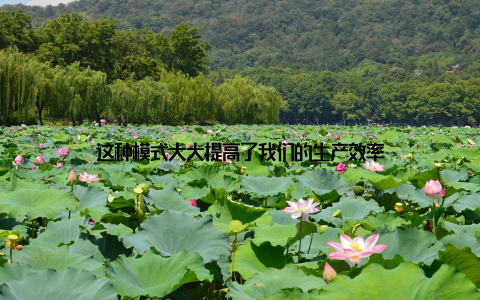 这种模式大大提高了我们的生产效率