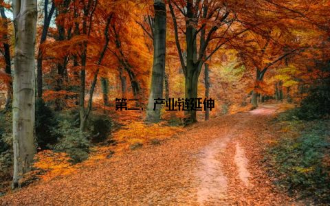 第二, 产业链延伸