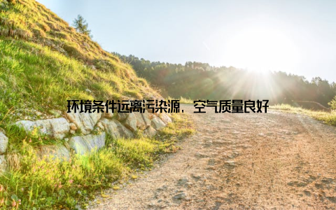 环境条件远离污染源, 空气质量良好