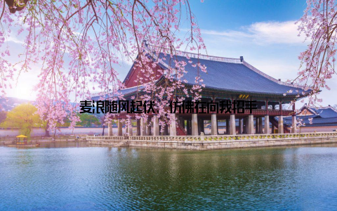 麦浪随风起伏, 仿佛在向我招手