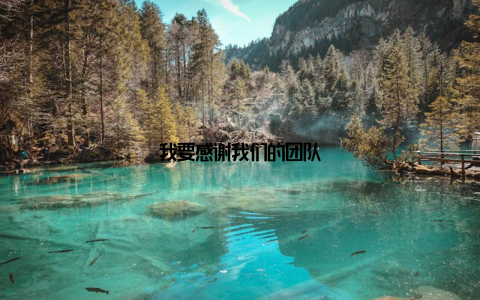 我要感谢我们的团队