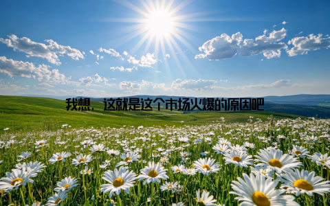 我想, 这就是这个市场火爆的原因吧