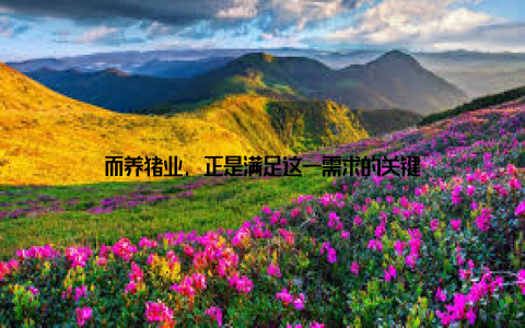 而养猪业, 正是满足这一需求的关键