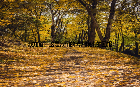 我知道, 这是我们的努力换来的回报