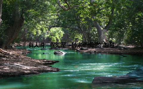有人说, 保险是一种未雨绸缪的智慧