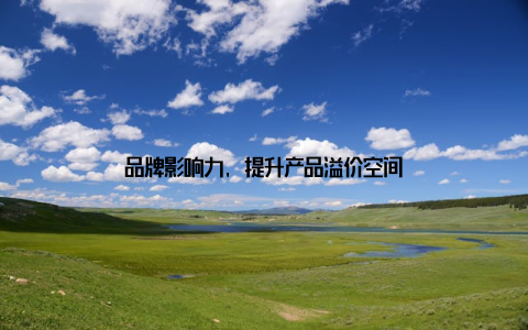 品牌影响力, 提升产品溢价空间