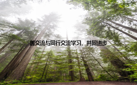 善交流与同行交流学习, 共同进步