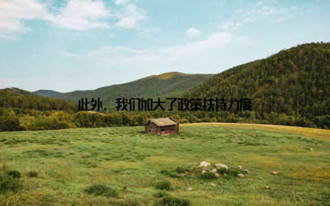 此外, 我们加大了政策扶持力度