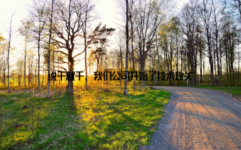 说干就干, 我们公司开始了技术攻关