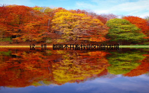 这一切, 都离不开畜牧业区域的发展