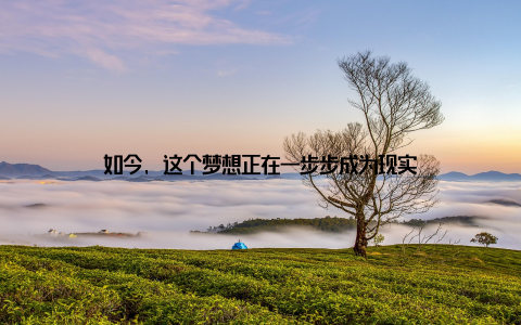 如今, 这个梦想正在一步步成为现实