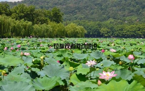 一位参观者激动地说