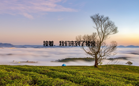 接着, 我们来到了猪舍