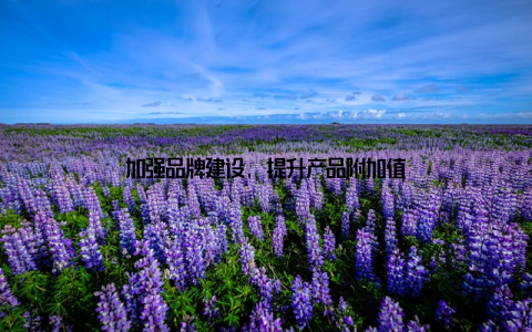 加强品牌建设, 提升产品附加值