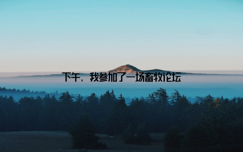 下午, 我参加了一场畜牧论坛