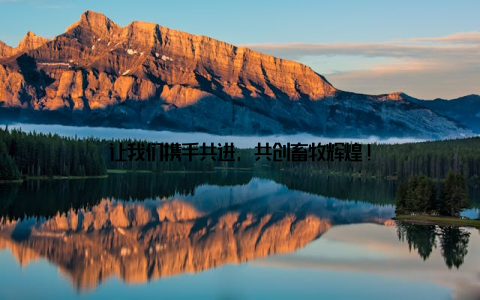 让我们携手共进, 共创畜牧辉煌!