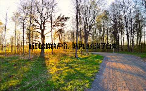听到这样的评价, 我内心充满了自豪