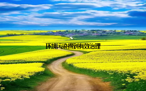 环境污染得到有效治理