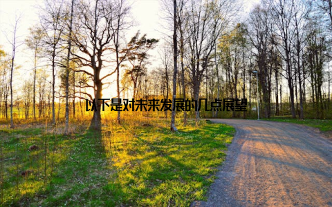 以下是对未来发展的几点展望