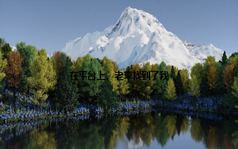 在平台上, 老李找到了我